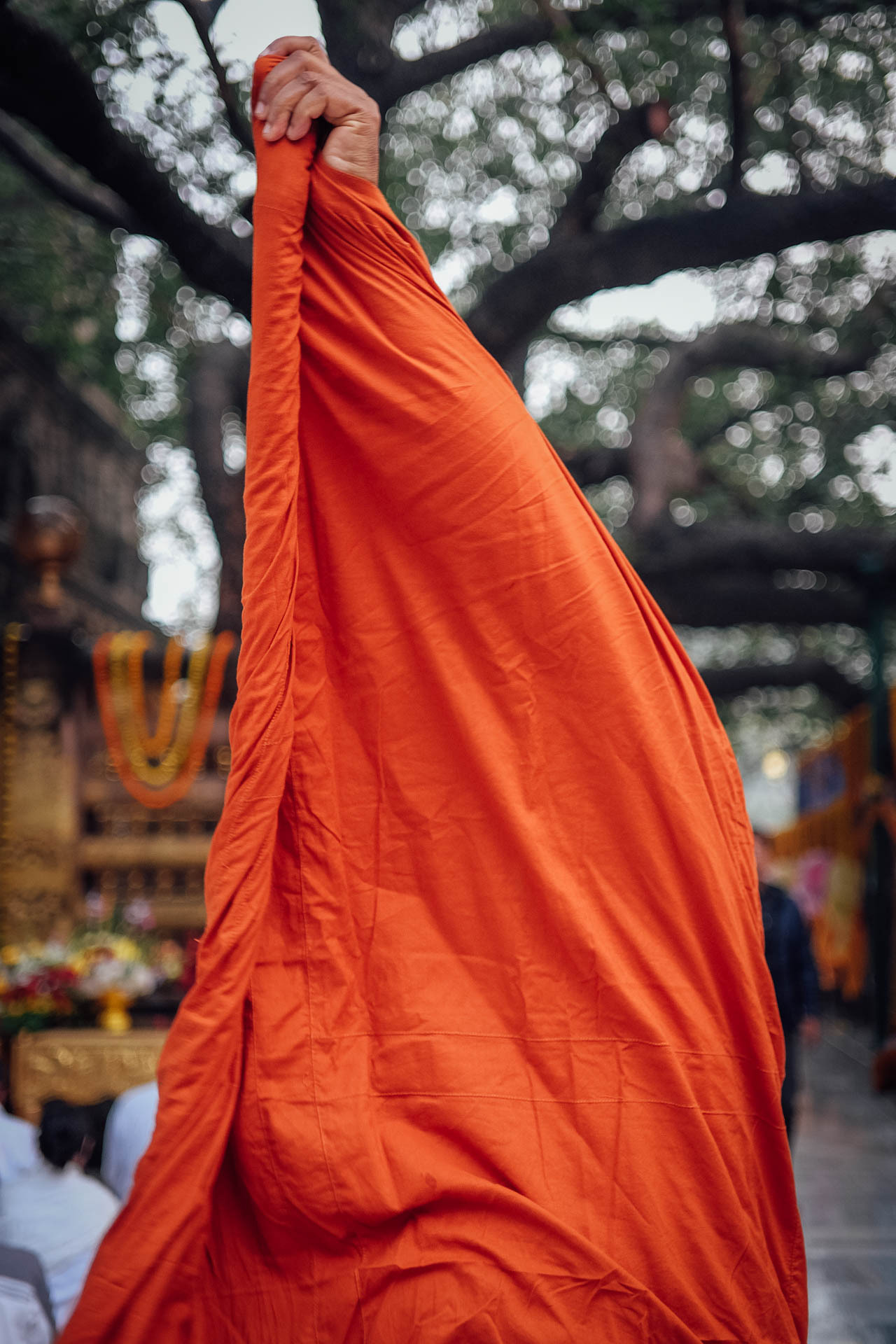 190124 099 Bodhgaya