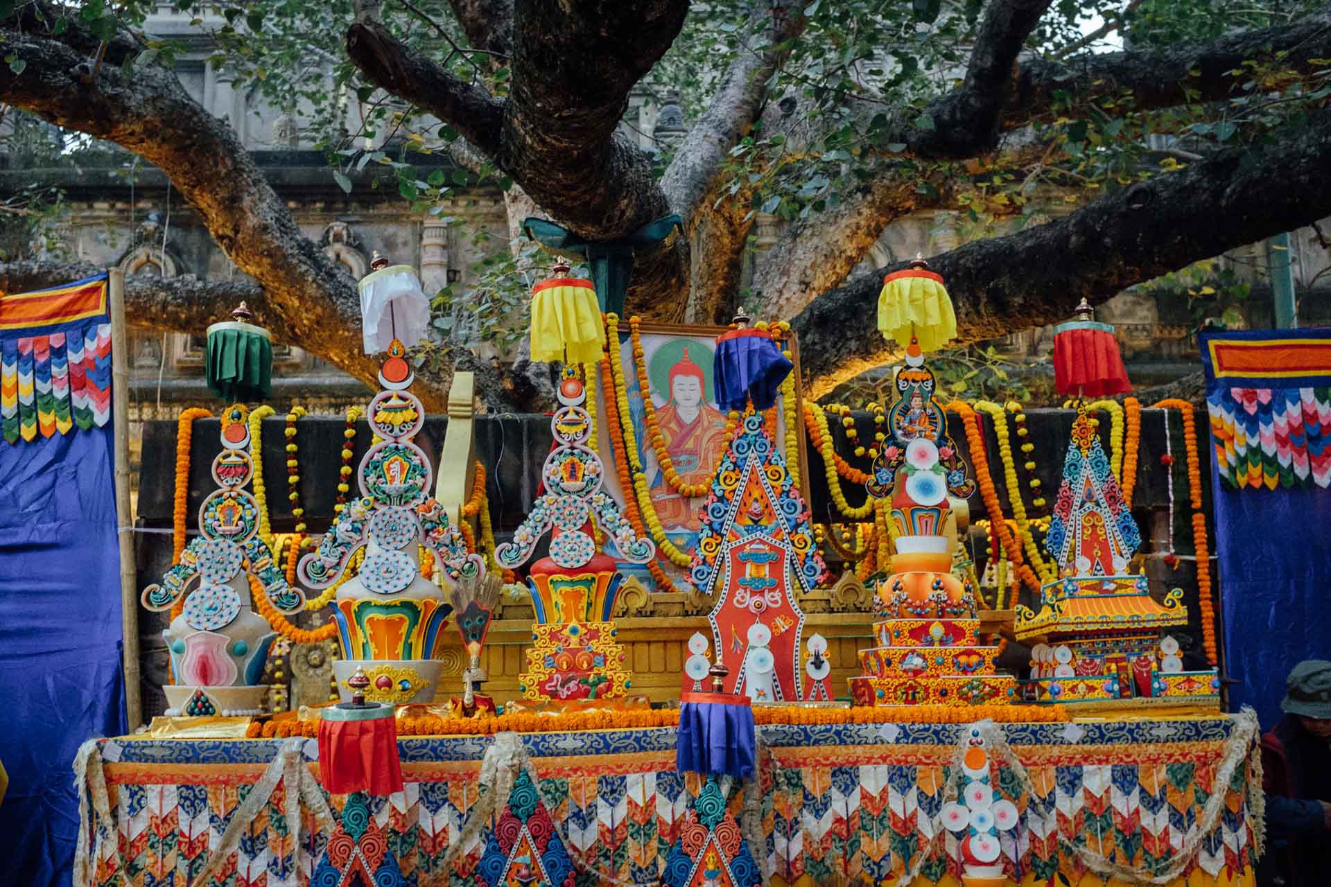 190125 013 Bodhgaya