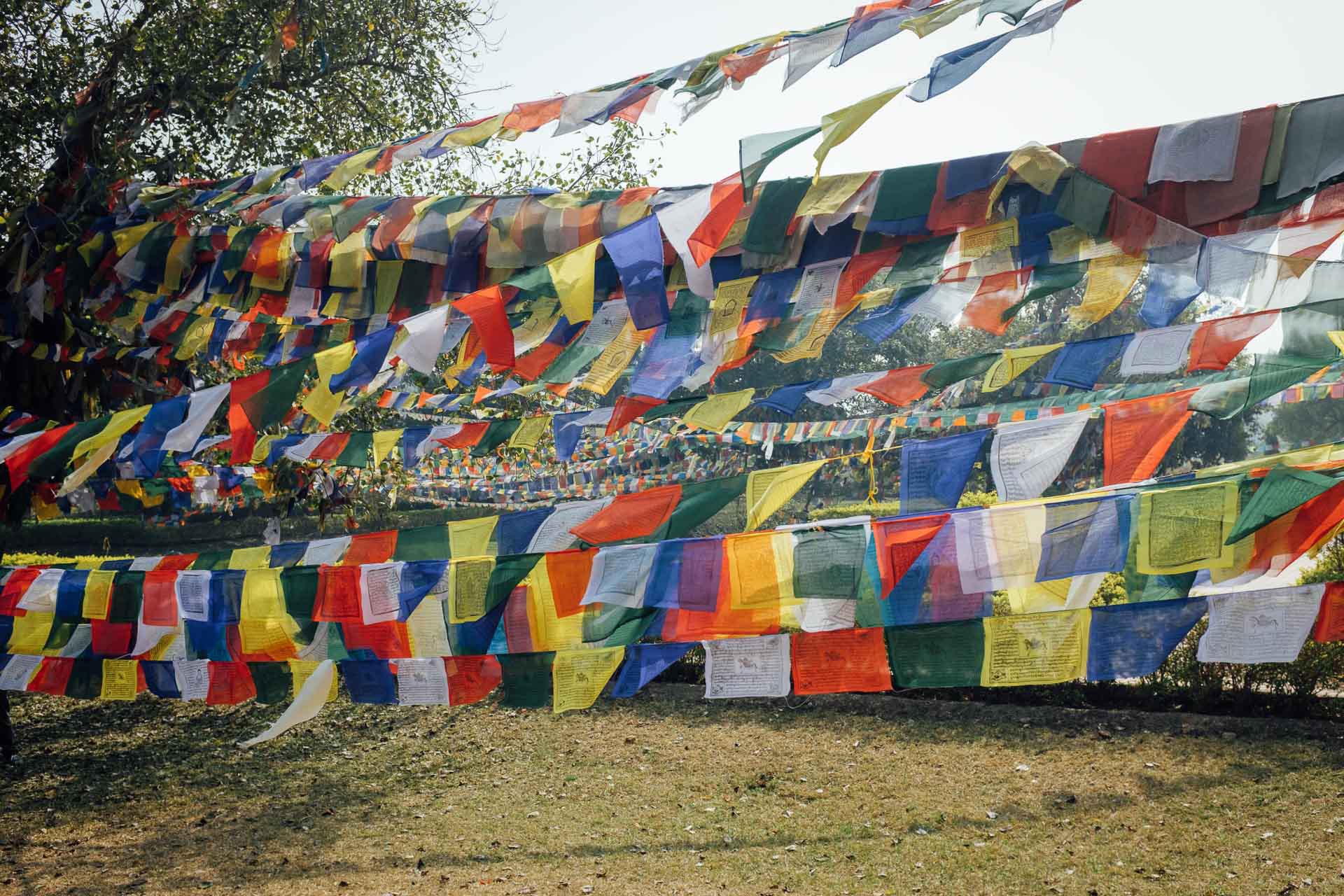 190128 020 Lumbini